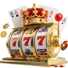 239